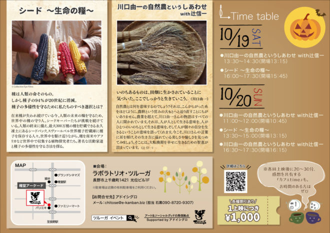 メイン裏