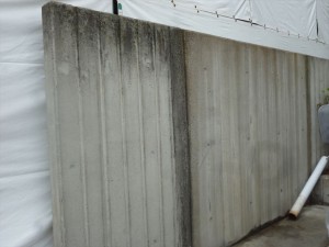 P1010331_R